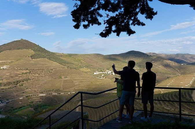 Valley of the Douro and Amarante Wine Gastronomy and Boat Tour - Quinta de São Luís: port tasting with a real winery visit