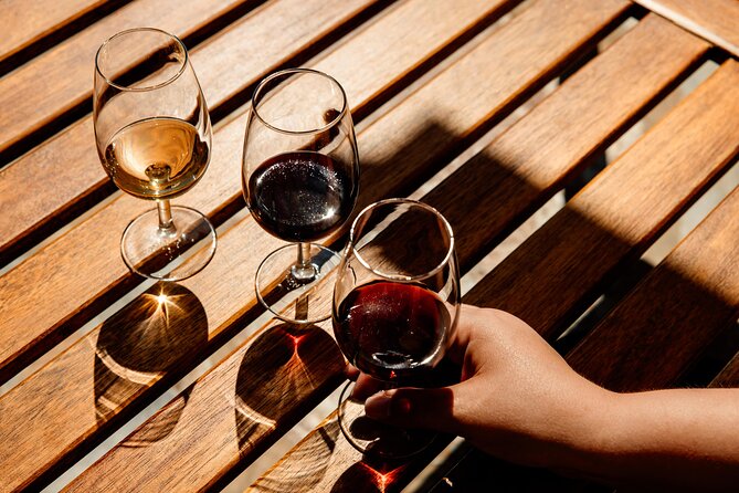 Valley of the Douro and Amarante Wine Gastronomy and Boat Tour - Guides can make or break the day