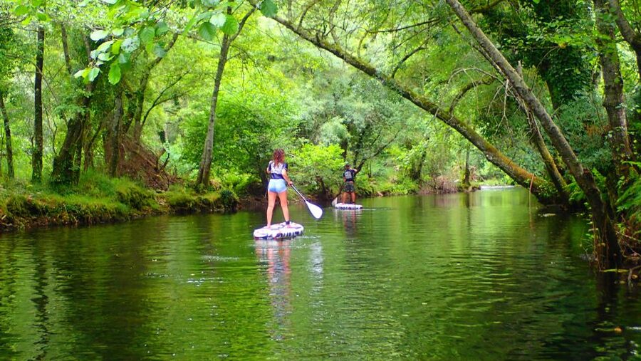 Viana do Castelo: Vez River SUP with Transfer Options - The Coach Factor: Instruction That Fits Your Level