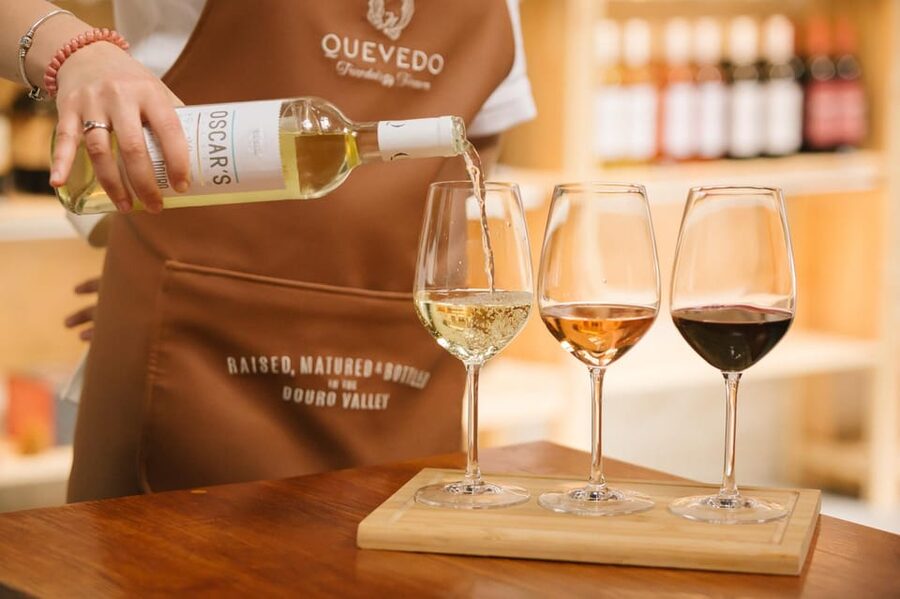Vila Nova de Gaia: Douro Discovery - Vila Nova de Gaia in 30 minutes: why this tasting is a smart fit