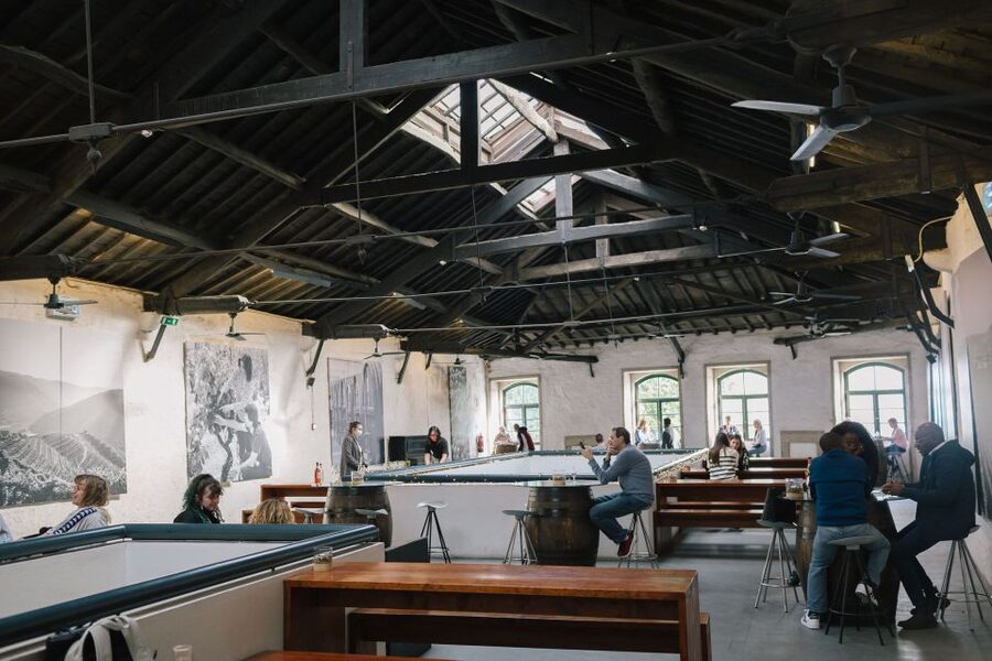 Vila Nova de Gaia: Port Wine Tasting with Cheese Pairing - The people behind it: how guides shape the hour