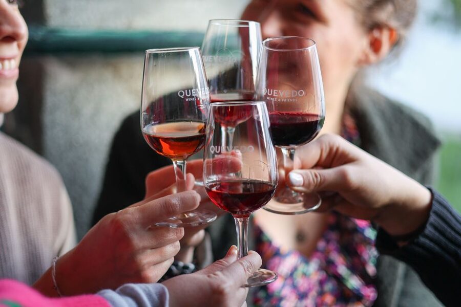 Vila Nova de Gaia: Porto Discovery Tasting - Accessibility and comfort: practical notes for planning your stop