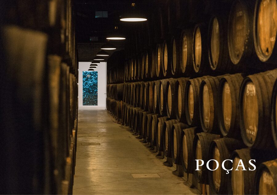Vila Nova de Gaia: Winery Tour with 2 DOC Douro & 1 Port - The 100+ year aging cellar: where Port aromas do the talking