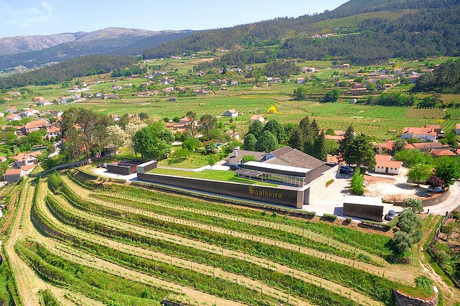 Vinho Verde Experience with 2 Wineries and Lunch - Key highlights to know before you go