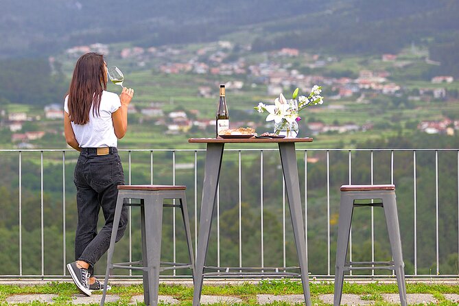 Vinho Verde Experience with 2 Wineries and Lunch - A Full-Day Vinho Verde Run From Porto