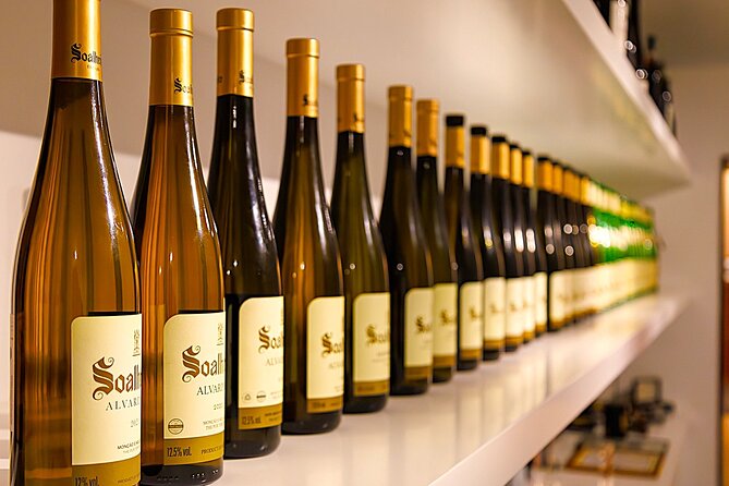 Vinho Verde Experience with 2 Wineries and Lunch - What You Might Want to Watch Out For