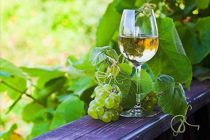 Vinho Verde Private Wine-Tour (All Inclusive) - Why Vinho Verde Feels Different in Person