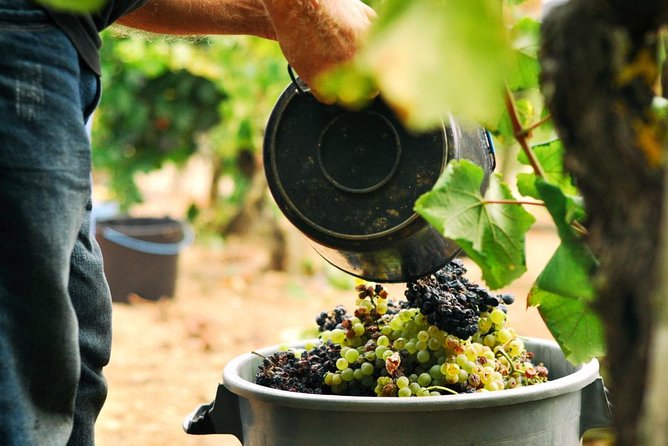 Vinho Verde Private Wine-Tour (All Inclusive) - Stop 1: Fortaleza de Valença and Traditional Pastries