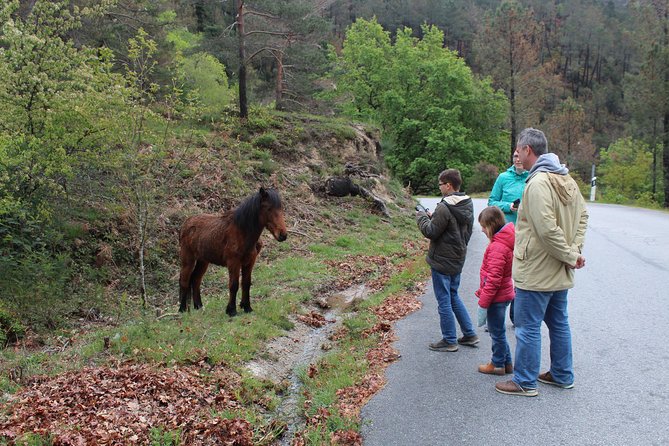 Waterfalls, Heritage and Nature in Gerês Park - from Porto - Stop 2: Ponte da Misarela, Devil’s Bridge, and the cliffside mystery