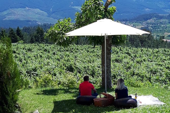 Wine Tasting & Lunch from Porto | Quinta de Santa Cristina - Price and value: what $208.50 buys you