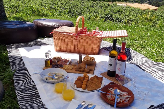 Wine Tasting & Lunch from Porto | Quinta de Santa Cristina - The 3 Quinta de Santa Cristina tasting with pairing boards