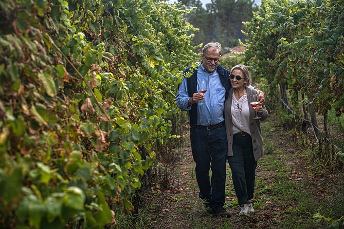 Wine Tasting & Lunch from Porto | Quinta de Santa Cristina - Lunch paired with the wines: regional picnic menu