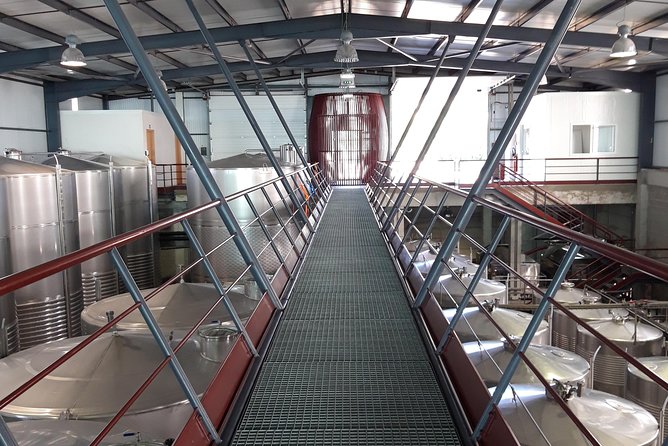 Wine Tasting & Lunch from Porto | Quinta de Santa Cristina - Transportation, timing, and group size: why this day feels easy