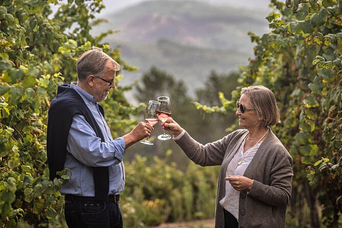 Wine Tasting & Lunch | Quinta de Santa Cristina Vinho Verde - Key highlights worth booking for