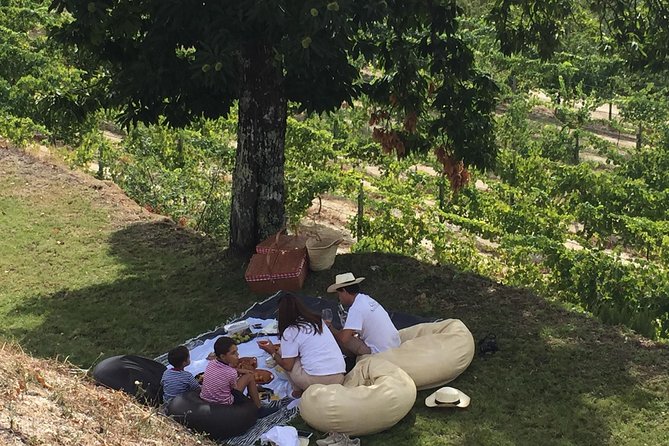 Wine Tasting & Lunch | Quinta de Santa Cristina Vinho Verde - Getting Started at Quinta de Santa Cristina (and Why Meeting Point Matters)
