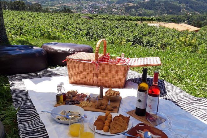 Wine Tasting & Lunch | Quinta de Santa Cristina Vinho Verde - Vineyard Walk: Where the Grapes Explain the Wine