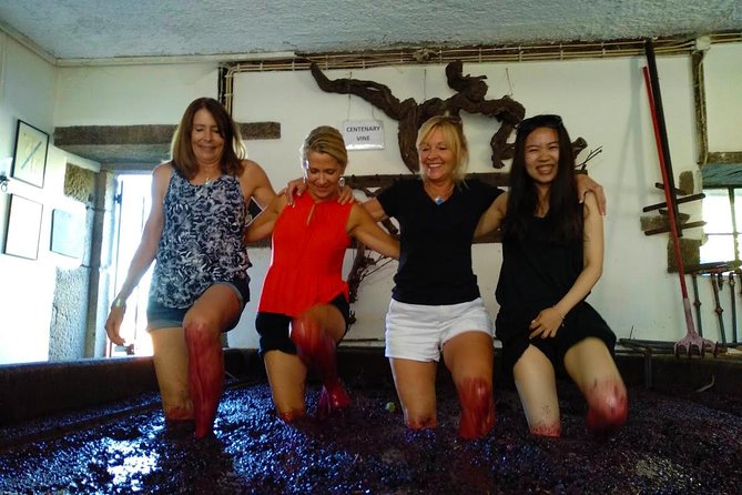 Wine Venture and Boat Trip in Douro Valley from Porto - The Bagaúste boat trip near the N222: views plus a break